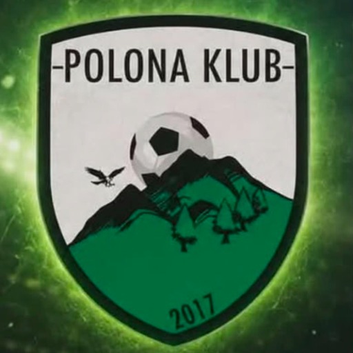 Logo FC Jastrzębie